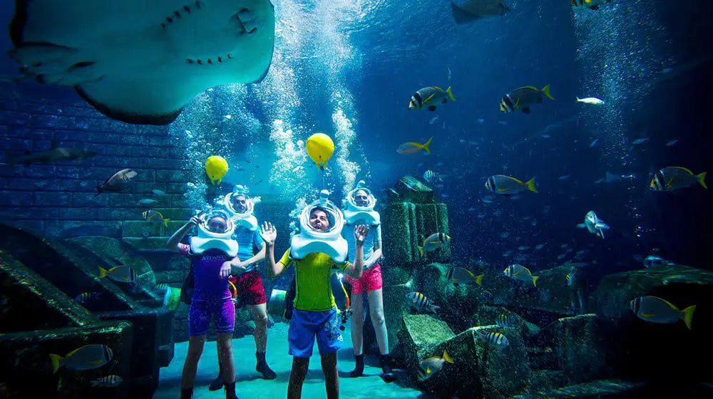 DUBAI'S ATLANTIS, THE PALM LETS GUESTS GO ON AN AQUATREK AT NIGHT