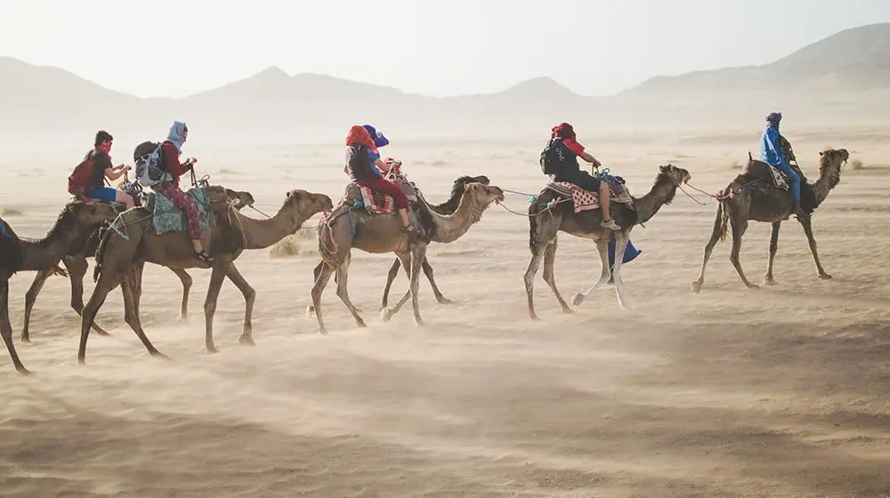 RECOGNISING THE PRIVILEGE OF TRAVEL