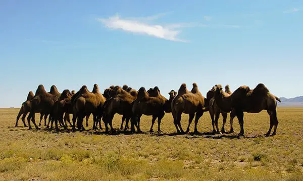 Image: Kevin Bluer/Unsplash 