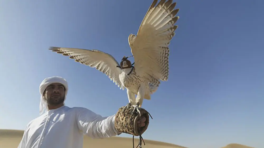 WHY THE UAE DESERVES TO BE ON YOUR BUCKET-LIST – LIKE. RIGHT. NOW!