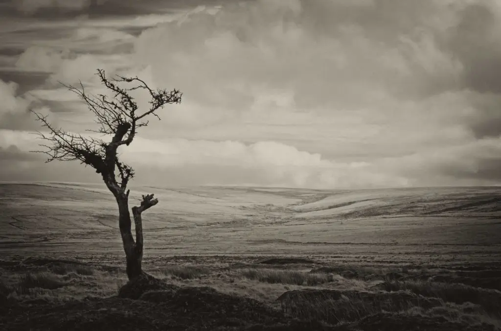 Super Sleuth? Investigate Sherlock Holmes’ Britain for yourself 34 Sherlock Holmes Britain - Dartmoor