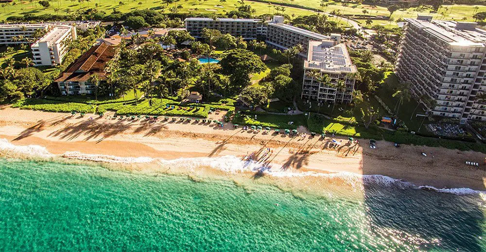 The best things in life are free: How to experience heavenly Maui for less!