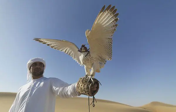 WHY THE UAE DESERVES TO BE ON YOUR BUCKET-LIST – LIKE. RIGHT. NOW! 17 uae1