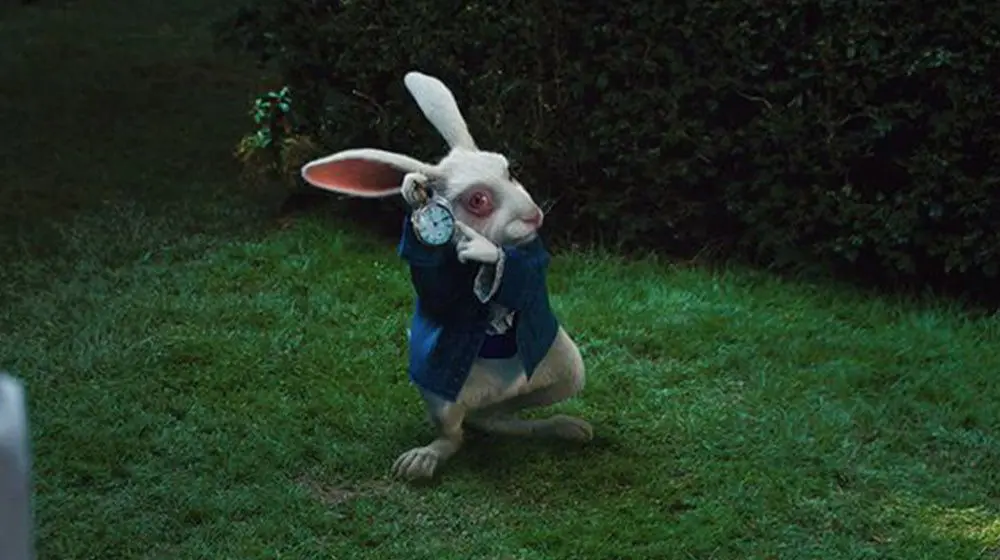 Tic Toc: Time is running out for Avis Scholarship applications