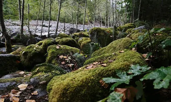 Beyond the cities & parks, 10 reasons why Canada is so hot right now 33 Canada 6