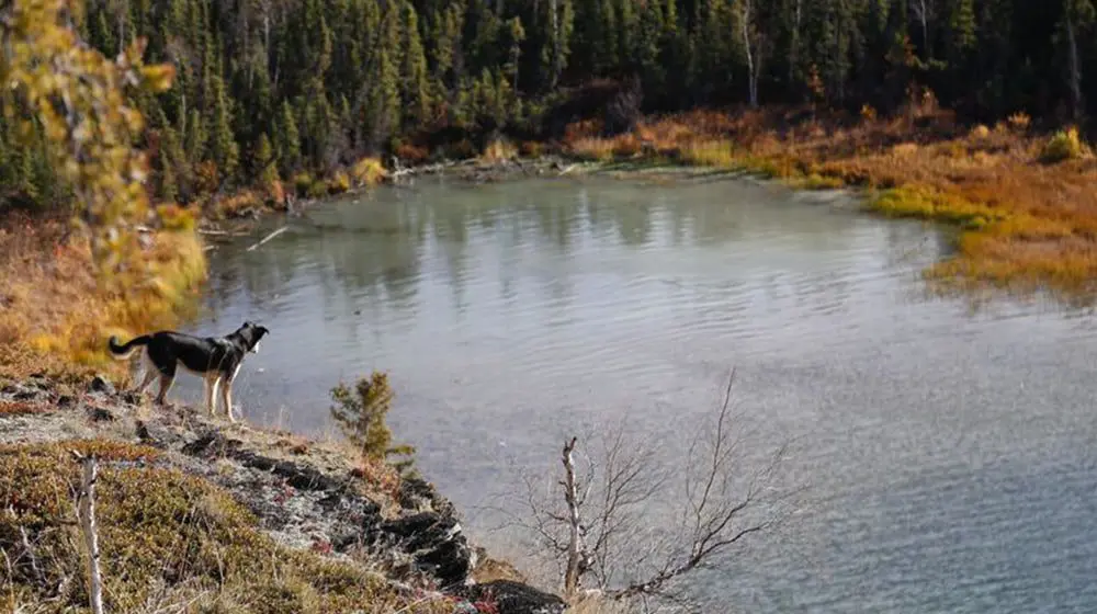 Beyond the cities & parks, 10 reasons why Canada is so hot right now
