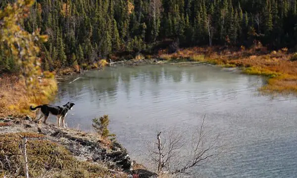 Beyond the cities & parks, 10 reasons why Canada is so hot right now 34 Canada