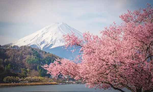 7 changes coming to Wendy Wu's tours in 2018 20 Japan Wendy Wu Tours