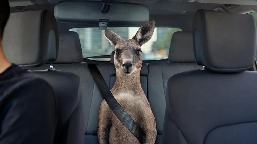 Qantas rewards Frequent Flyers for booking Ubers to the airport