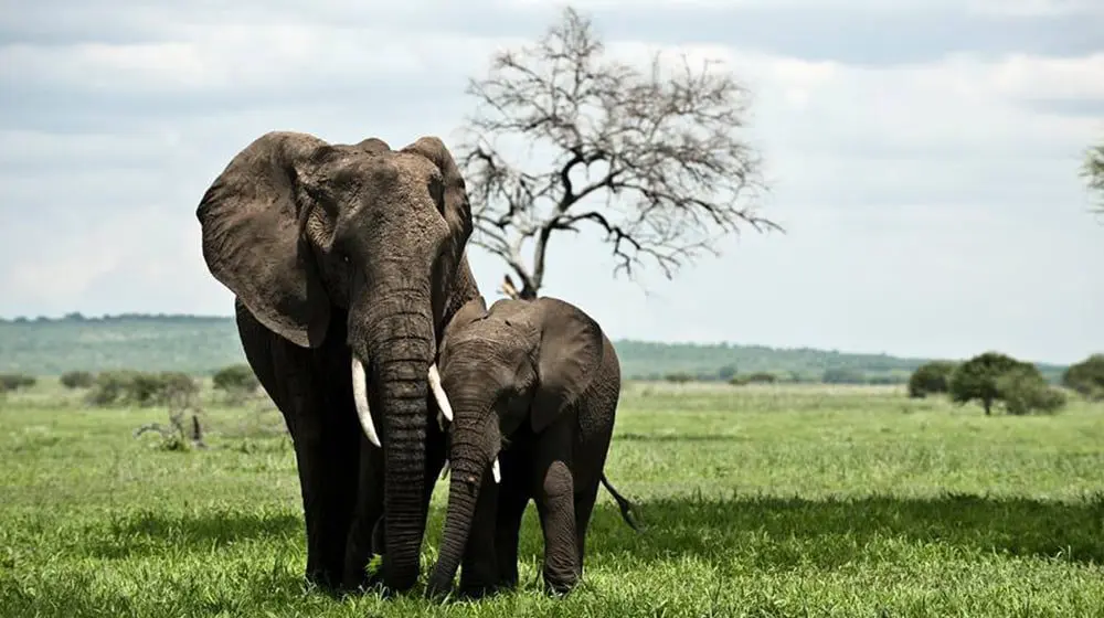 Venture Holidays rebrands to 'Venture Far'