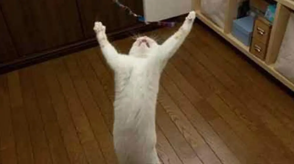 'Why' - the most important question in travel