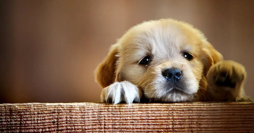 #AGENTHACKS: How to beat the post trip famil blues