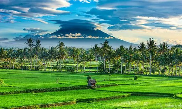 Bali