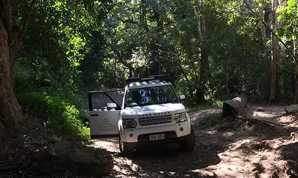 Australia's very own tropical paradise is only one flight away 14 Cairns Travel Counsellors 2