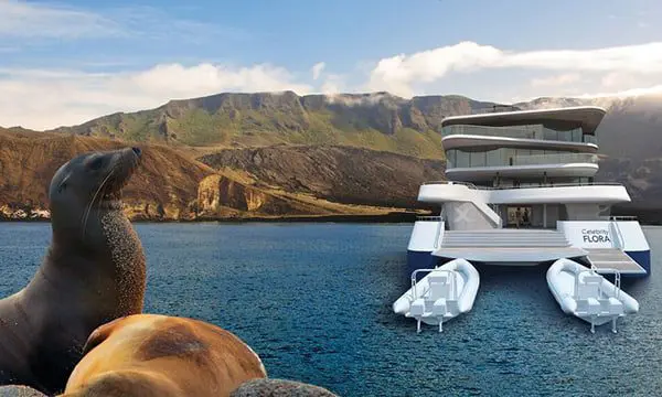 Agent wins $10,000, new ship announcements & more travel news 24 Celebrity Flora