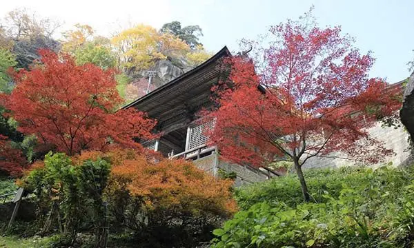 Japan famil 4