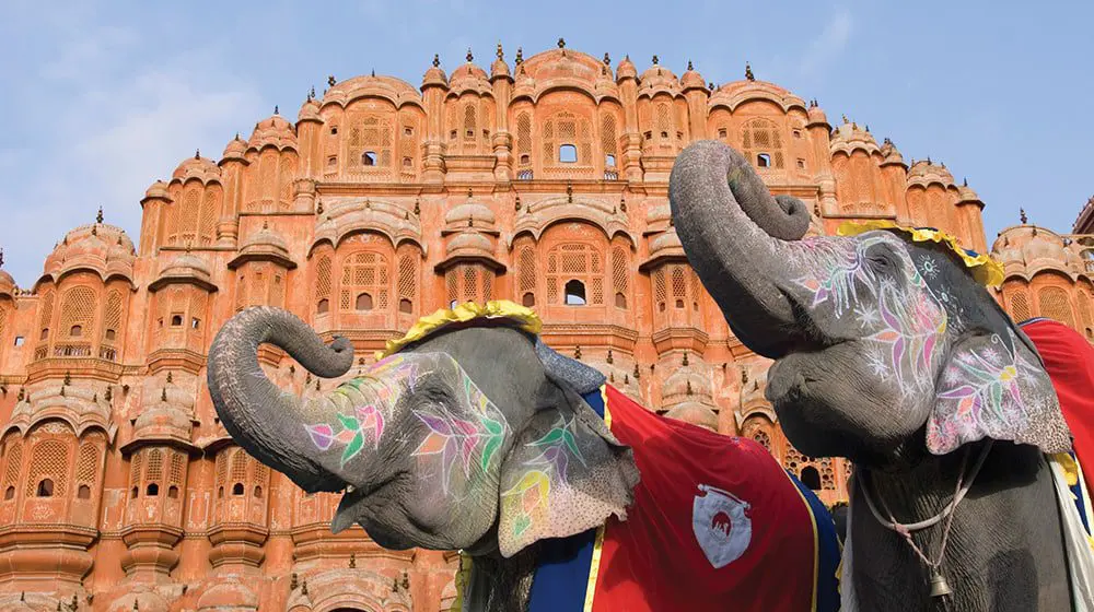 Arrival Revival: India's tourism industry hopeful as all international flights resume 1 Viking India