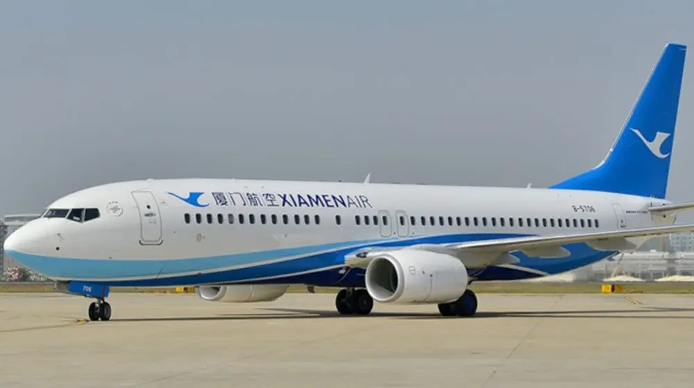 WATCH: Shocking moment when a flight attendant fell from a parked plane