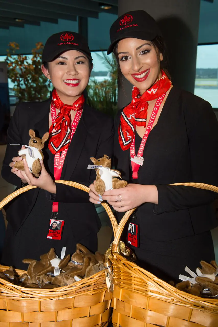 20171203_SDP_9021_preview