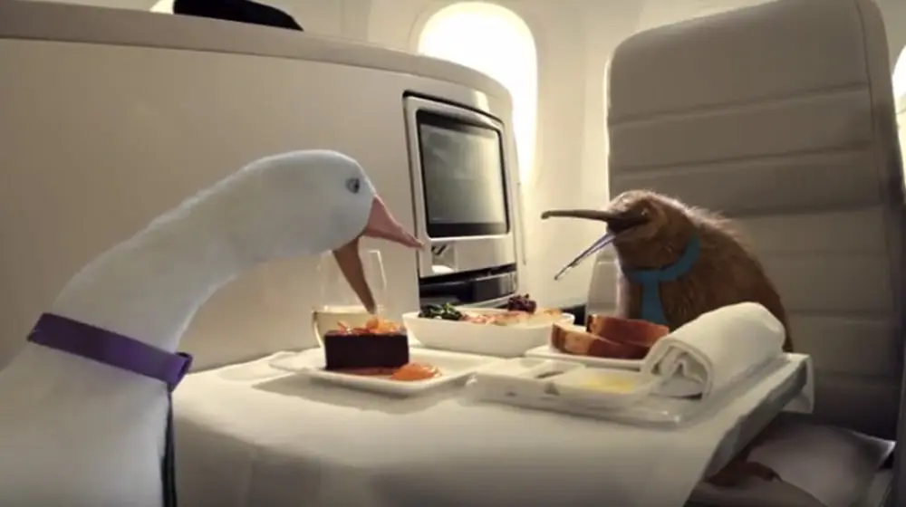 THE 2018 KARRYON AWARDS: All the winners revealed: YOU voted, now see who WON! 125 Air New Zealand feature