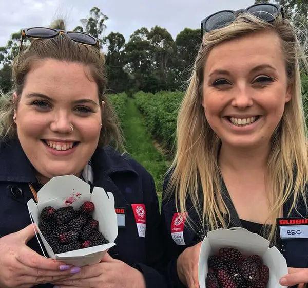 Globus Day of Discovery 2