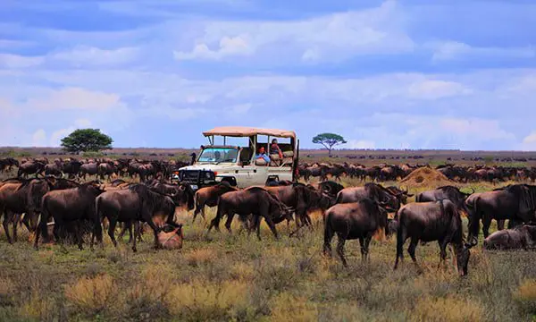 Club Med to the Seychelles, earn Qantas Points with Sunlover & more travel news 31 A&K