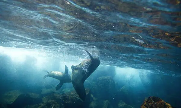 G Adventures just dropped a MAJOR hint about where it's taking UMI Travel Agents 12 Galapagos G Adventures