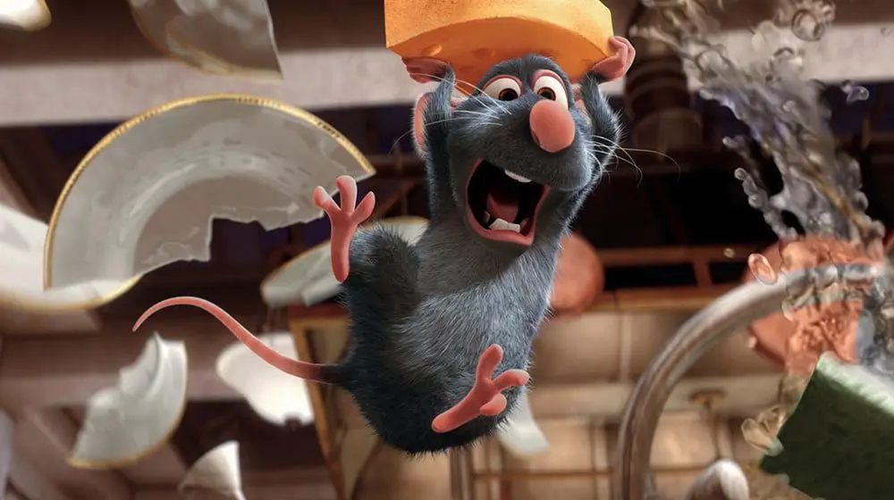 Rat on board! Flight cancelled over furry stowaway