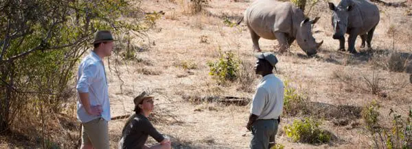 Animal encounters of a unique kind in Botswana, Zambia & Zimbabwe 19 screen-shot-2018-01-25-at-10-0