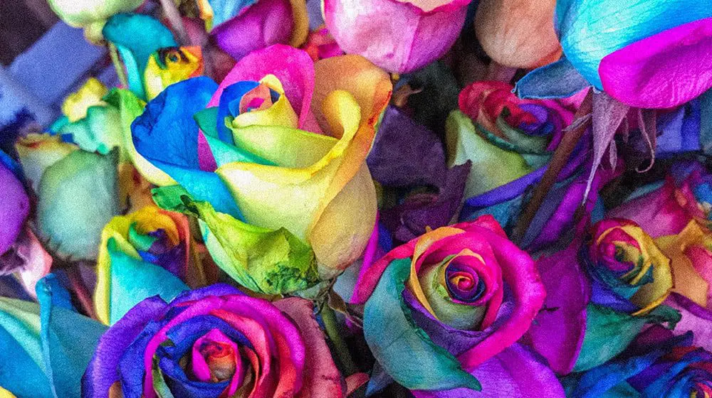 HAPPILY EVER AFTER: Same Sex Wedding Expo comes to Sydney