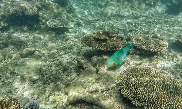 STUNNING: The most popular small islands around Australia revealed 23 Frankland