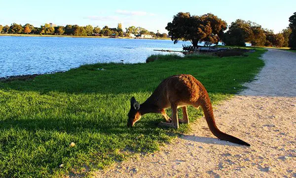 STUNNING: The most popular small islands around Australia revealed 25 Herrison