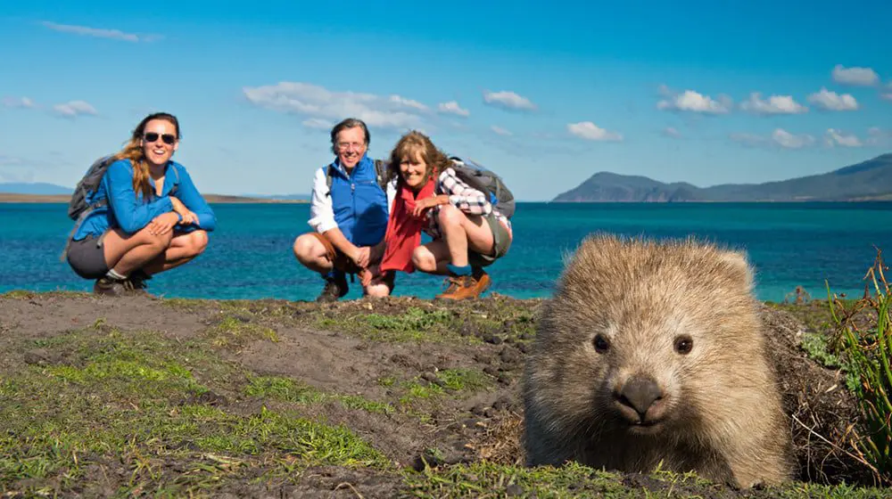 AGENTS ONLY: Give your clients exclusive savings on the Maria Island Walk