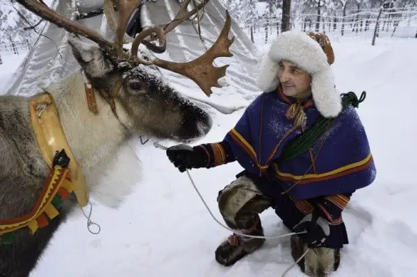 WHY NOT? Go Reindeer herding in Northern Sweden 12 swd-2016-01-26-193050-768x511