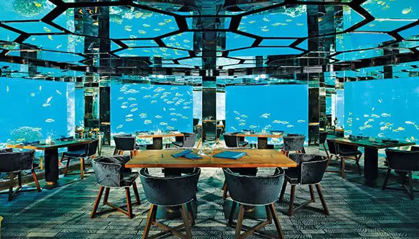 OUT OF THIS WORLD: Now you can stargaze AND dine underwater in the Maldives 7 The SEA underwater restaurant