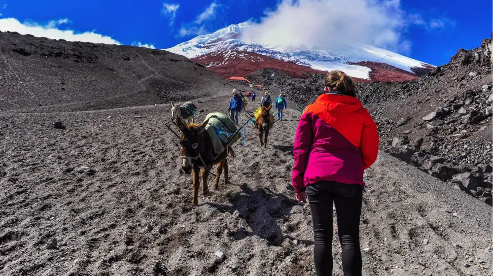 TRAVEL TIPS: 6 easy steps to help you quit your job & travel for 6 months