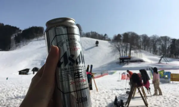 24 hours in Nozawa Onsen, Japan: what to do, see & of course, eat! 31 Nozawa Japan 8