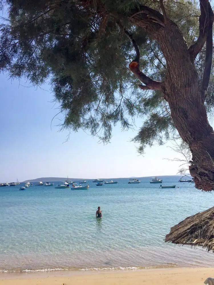 TRAVEL TIPS: The true party island in Greece, it's not Mykonos 11 paros; Aliki Beach