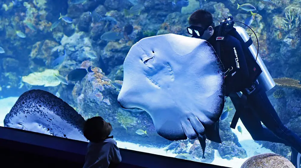 Travel Counsellors gather in Cairns for a 'future without limits'