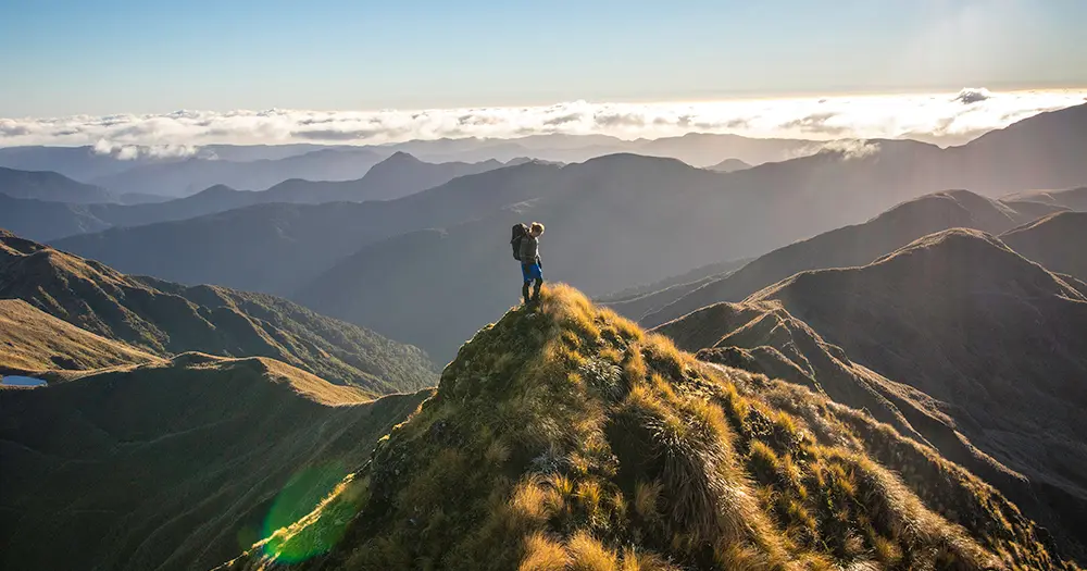 Have your say: Tourism New Zealand wants to hear what you and your clients really need