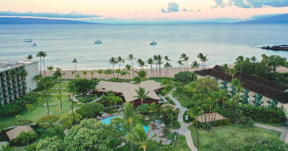 Enjoy whale season on Maui, we’ve got a whale-y good place to stay