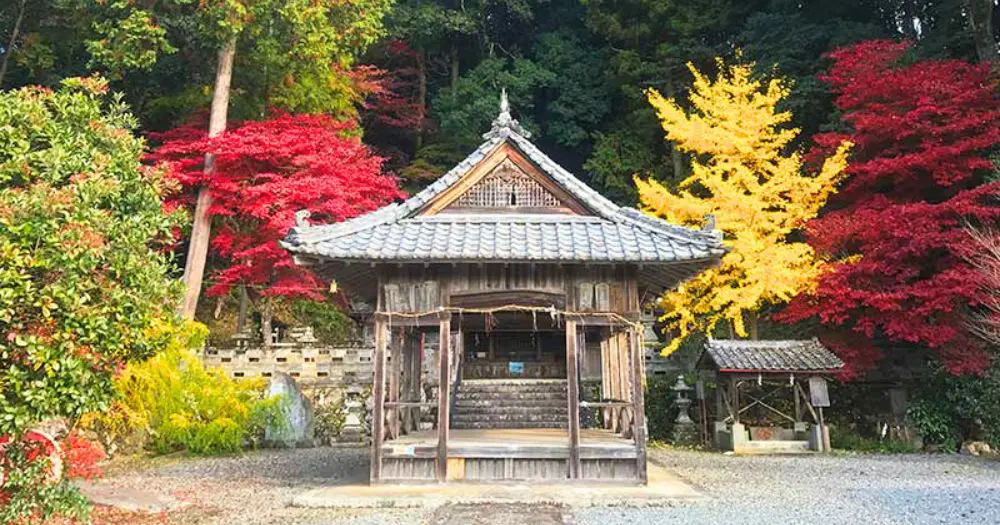 Walk Japan launches new tour to Kyoto's rarely visited rural hinterland