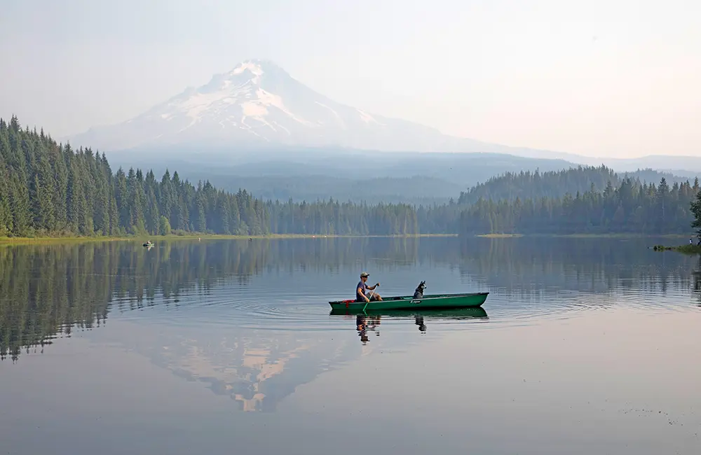 Into the Wild: Road Trips Through America's Natural Wonders