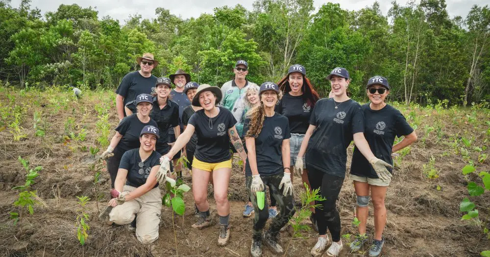 TTC joins vital tree planting project in the Daintree Rainforest