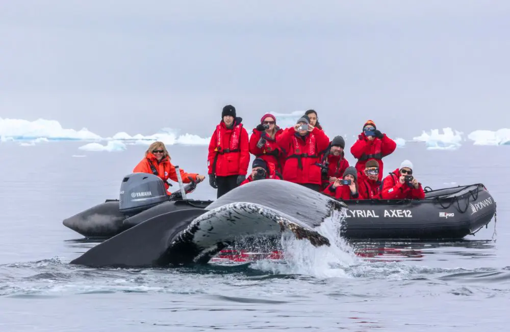 A&K expands expedition cruises to 24 to meet growing demand to go off-grid