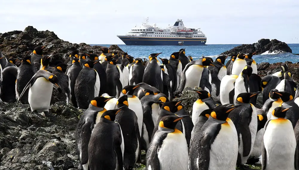 Hop aboard the Heritage Expeditions x Quark Expeditions 6-city regional roadshow & WIN! 2 Penguins in Antarctica with cruise ship in background. Heritage Expeditions x Quark Expeditions Regional Expedition Roadshow