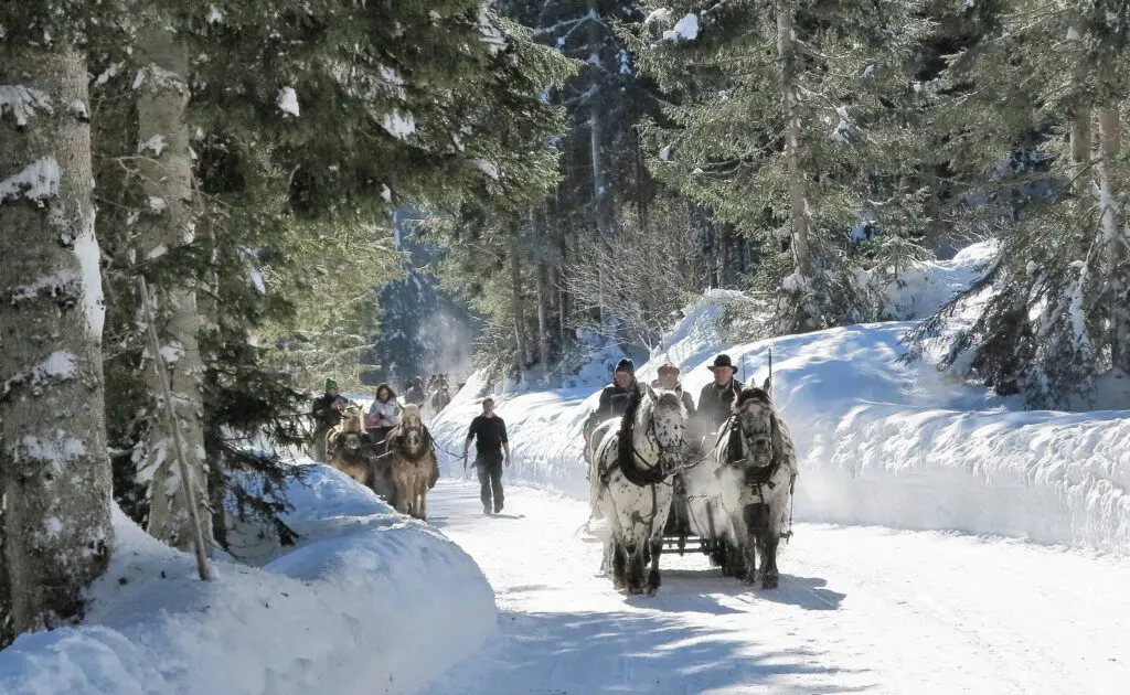 Albatross Tours’ European Christmas & New Years’ tours ‘guaranteed to go’