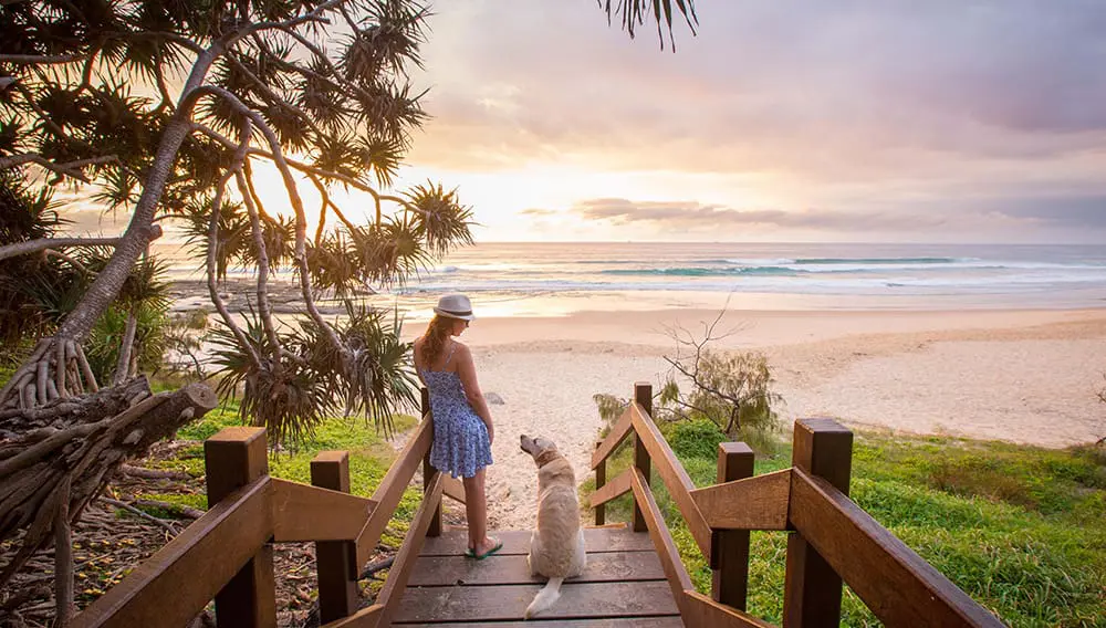 Jetstar unveils new intrastate Qld flights and first ex-Bonza route 2 The Sunshine Coast coast.
