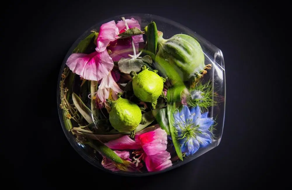 6 ‘spare no expense’ sustainable restaurants for the most discerning gourmand