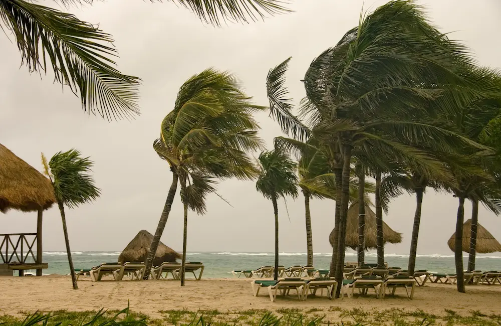 DFAT issues travel warning for Mexico and Caribbean as Hurricane Beryl batters region; cruise lines react